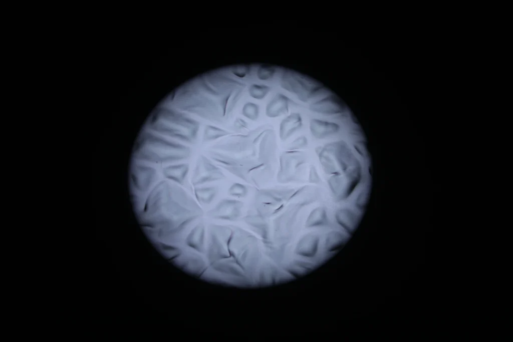 vshow moving head led light s711 powerful 600w led module engine profile